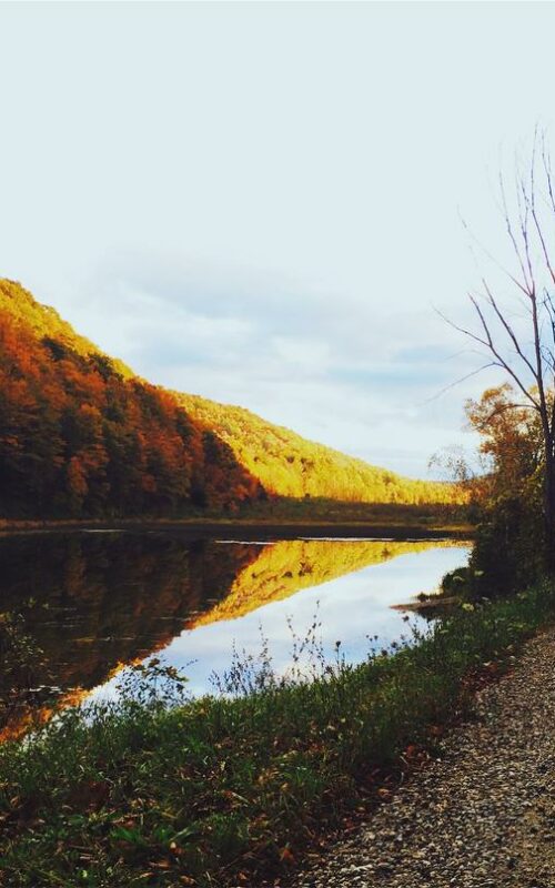 c59bb011-1e10-3361-9381-11af2d42a496